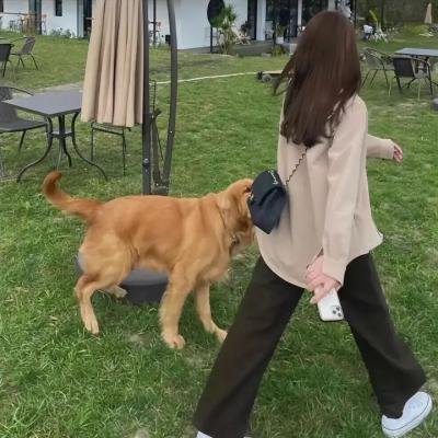 地窖里的人